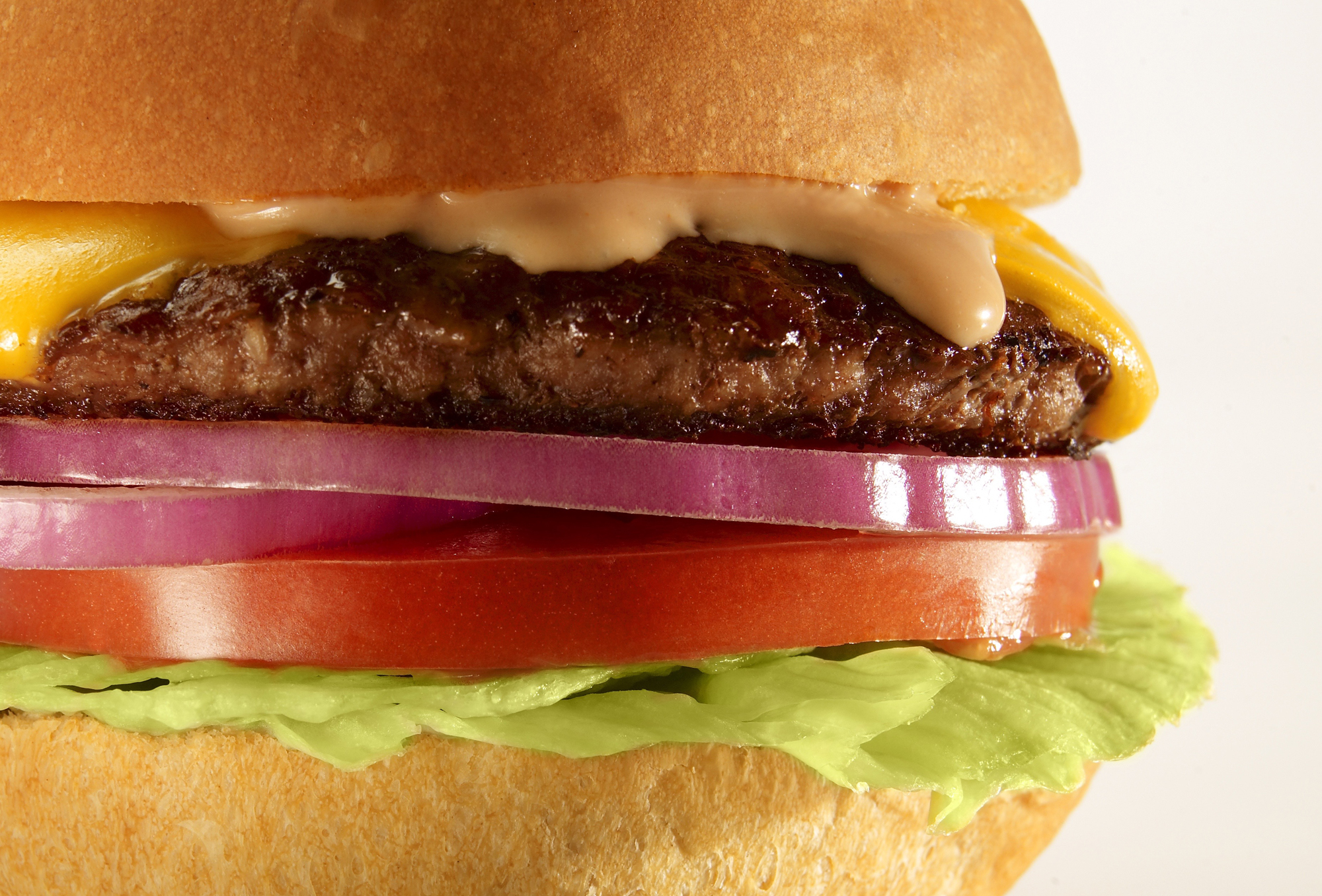 copyright-ssp_food_02